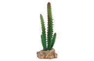 Cactus with Rock Base No. 1