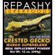 Crested Gecko Mango Superblend 170g