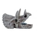 HQ Tryceratops Skull
