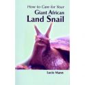 How to Care For Your Giant African Land Snail