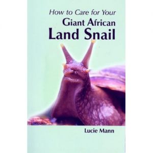 How to Care For Your Giant African Land Snail