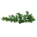 Lucky Reptile Turtle Plants, Coral fern M