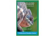 Chameleons in captivity
