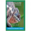 Chameleons in captivity