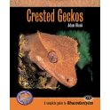 Crested Geckos Complete guide