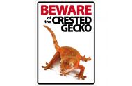 Beware sign: Kronegekko