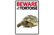 Beware sign: Skildpadde