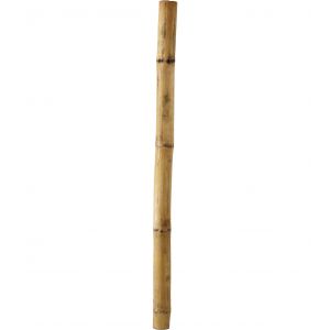 Bambus rør 25-35 mm. 25 cm.