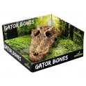Gator Bones