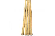 Bambus rør 40-55 mm. 25 cm.