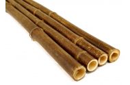 Mørk Bambus rør 20-25 mm. 50 cm.