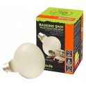 Komodo basking spot bulb 100W
