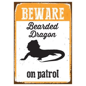 Bearded dragon Tin Sign