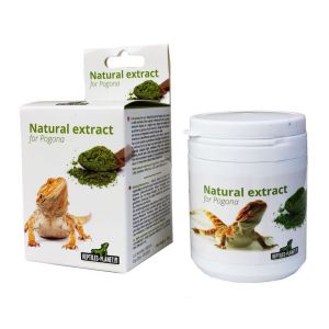 Reptiles Planet Natural extract for pogona 100 g.