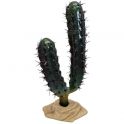 Komodo Finger Cactus 20 cm