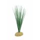 Komodo Tall Grass green small