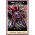 ECO Tarantulas & Scorpions in captivity