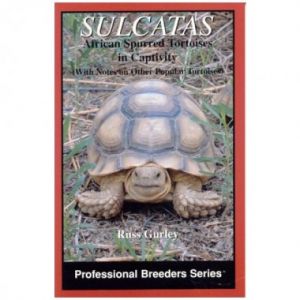 ECO Sulcata, African Spurred Tortoise