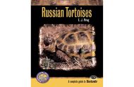 ECO Russian Tortoises in Captivity