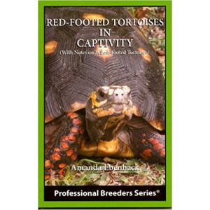 ECO Red-footed Tortoises in Captivity