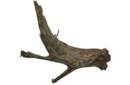 Mangrove rod medium/large