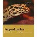 Leopard gekko bog af Lance Jepson