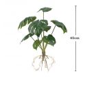 Repti plant 3