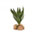 ZooMed Green Aloe plante 