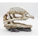 PR Dilophosaurus skull
