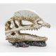 PR Triceratops skull