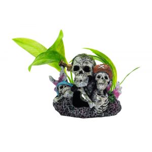 PR Pirate skull group
