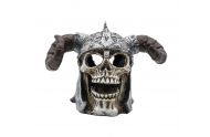 PR Viking skull