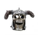 PR Viking skull