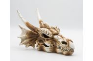 PR Dragon skull medium