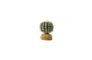 Exo Terra Barrel cactus small