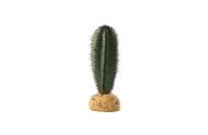 Exo Terra Saguaro Cactus