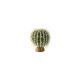Exo Terra Barrel cactus large