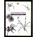 Edderkopper, Den udførlige opslagsbog
