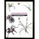 Edderkopper, Denudførlige opslagsbog