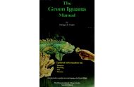 The green iguana manual