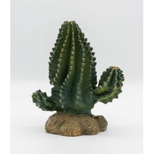 PR Cactus