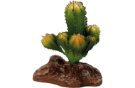 Repto Plant Cactus