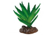 Repto Plant Aloe vera