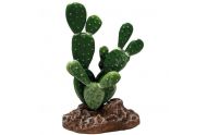 Repto Plant Cactus Opuntia