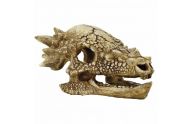 SuperFish T-Rex skull medium