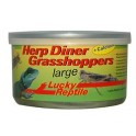 Lucky Reptile Herp Diner, Græshopper 35g
