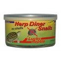 Lucky Reptile Herp Diner, Snails "no shell" 35g