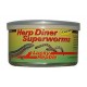 Lucky reptile herp dinner Superworms