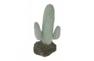 Lucky Reptile Mexicansk kaktus, 12 cm