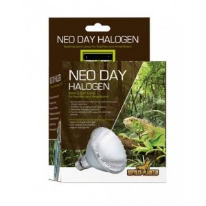 Neo Day Halogen 75W